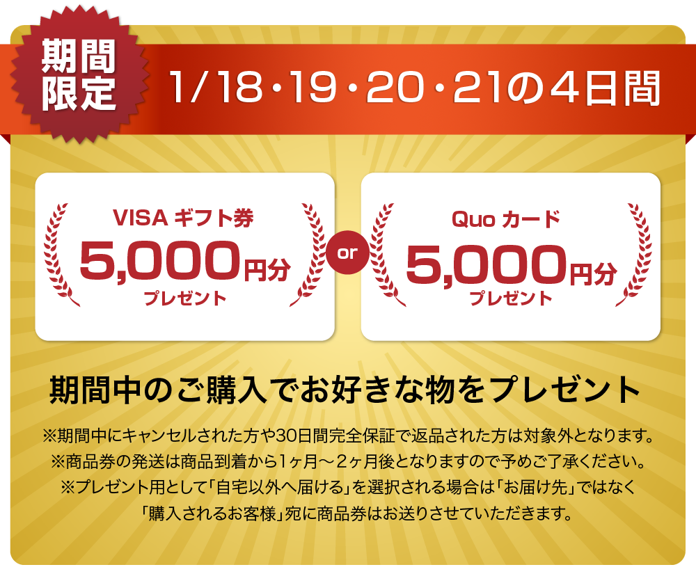 QUOカードまたはVISAギフト券5000円分プレゼントキャンペーン