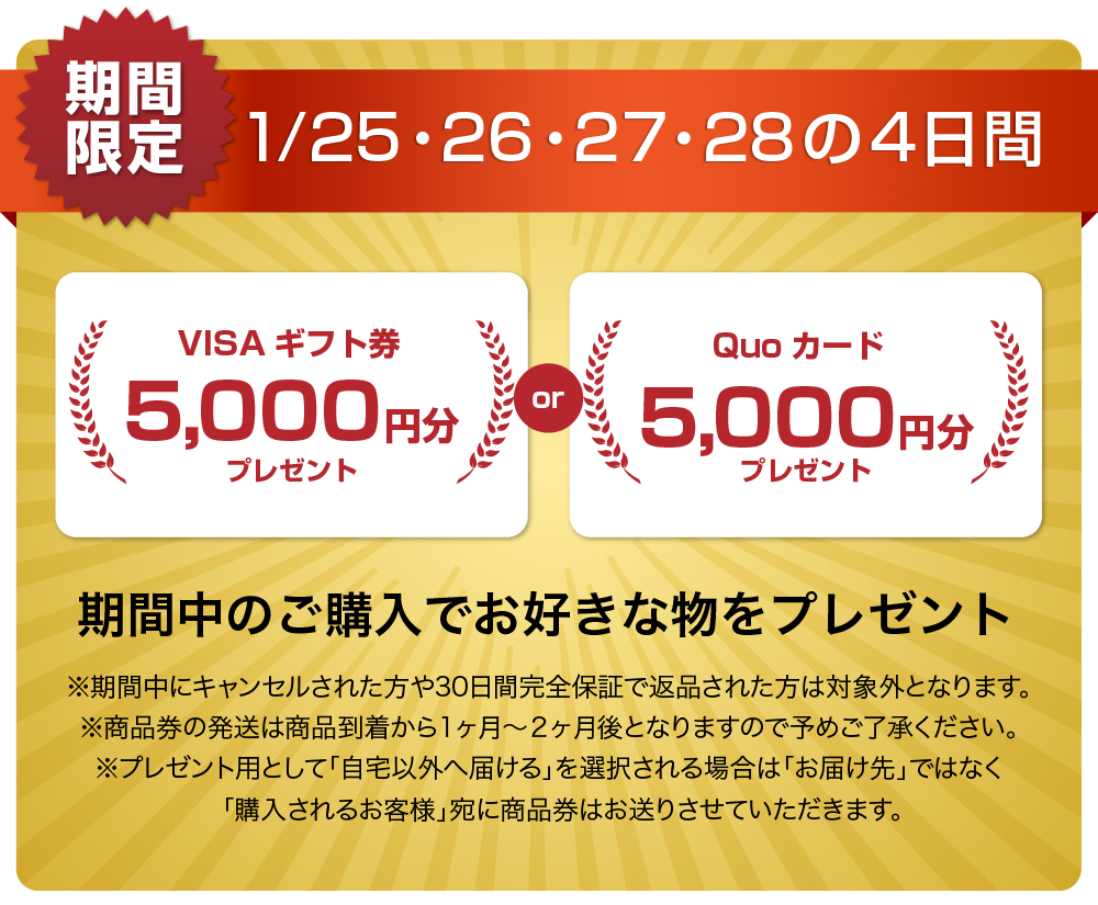 QUOカードまたはVISAギフト券5000円分プレゼントキャンペーン
