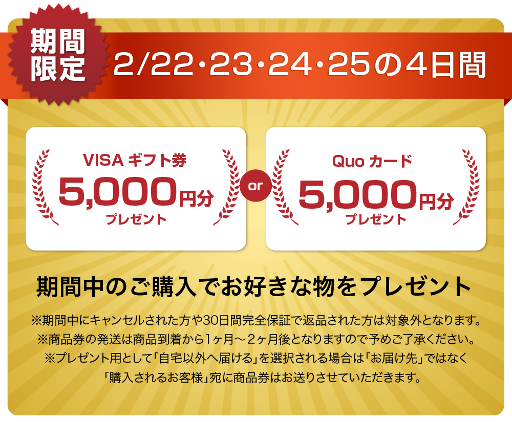 QUOカードまたはVISAギフト券5000円分プレゼントキャンペーン