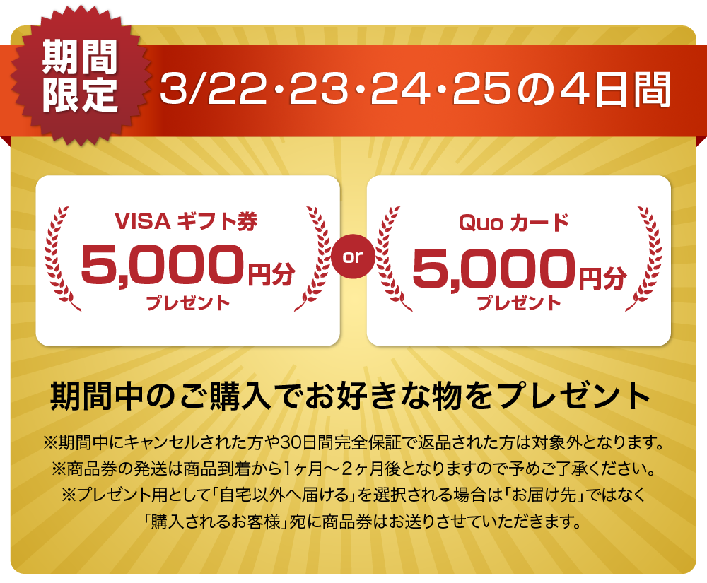 QUOカードまたはVISAギフト券5000円分プレゼントキャンペーン