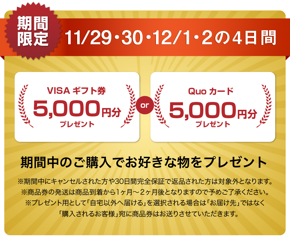 QUOカードまたはVISAギフト券5000円分プレゼントキャンペーン