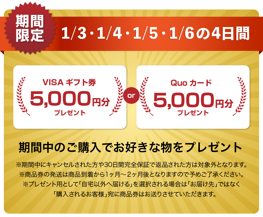 QUOカードまたはVISAギフト券5000円分プレゼントキャンペーン